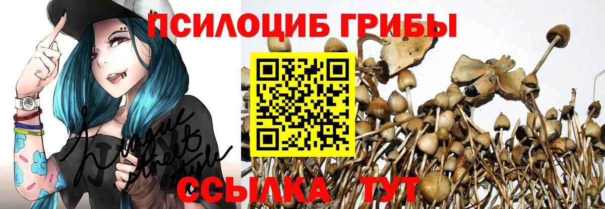 Волгоград  Галлюциногенные грибы Psilocybe  Вход с VPN 